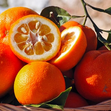 Orange Amère